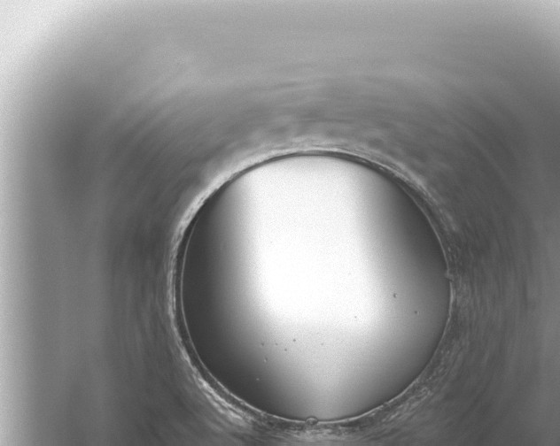 X0000059041512200510211920