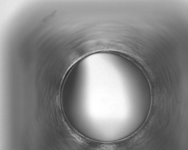 X0000059041513200510211920