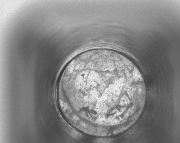 X0000059041514200510211920