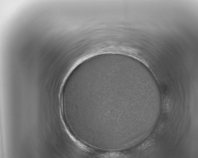 X0000059041515200510211920