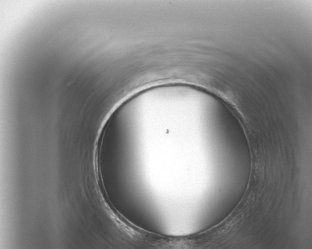 X0000059041516200510211920