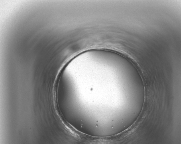 X0000059041517200510211920