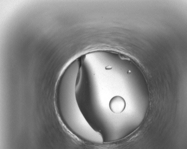 X0000059041518200510211920