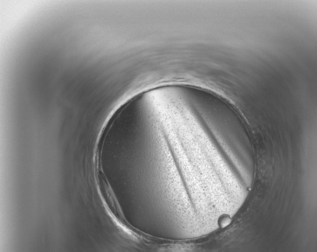 X0000059041519200510211920