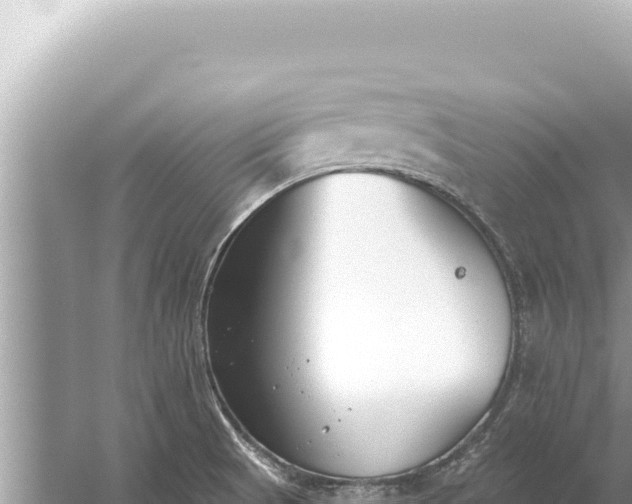 X0000059041521200510211920