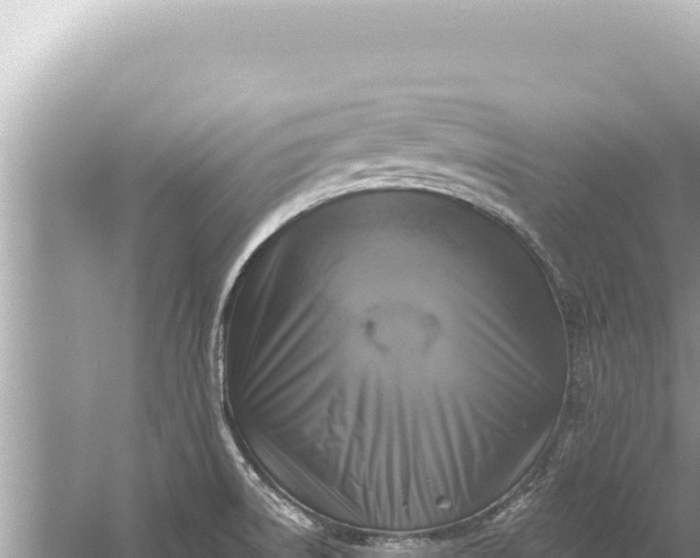 X0000059041522200510211920