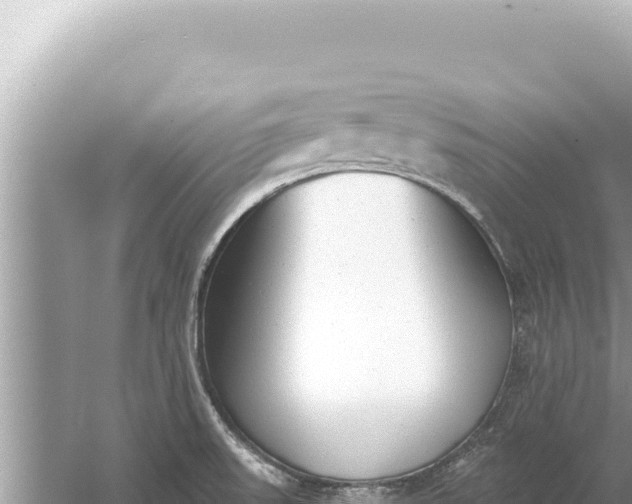 X0000059041523200510211920