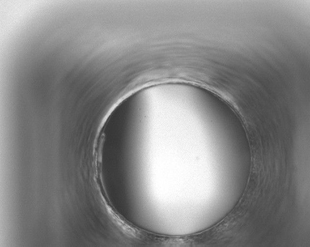 X0000059041524200510211920