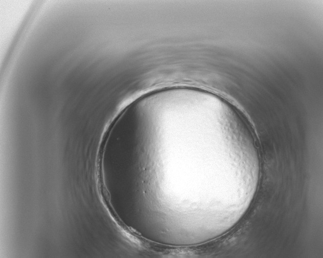 X0000059041525200510211920