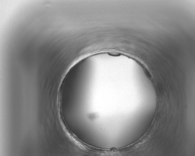 X0000059041526200510211920