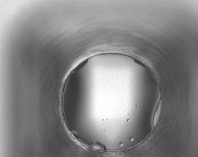 X0000059041528200510211920