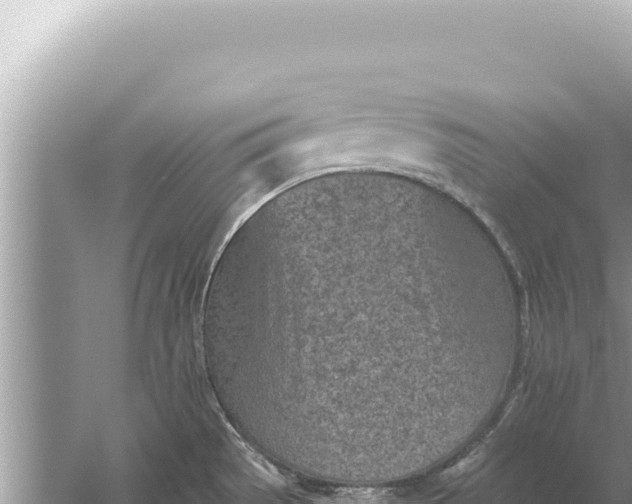 X0000059041529200510211920