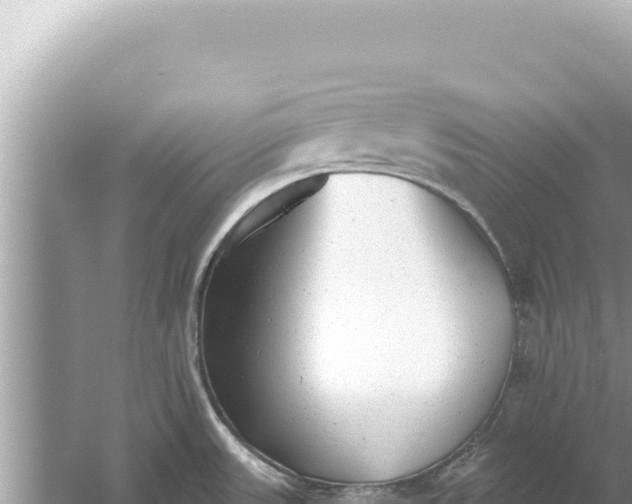 X0000059041531200510211921