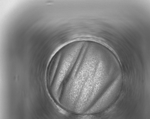 X0000059041533200510211921