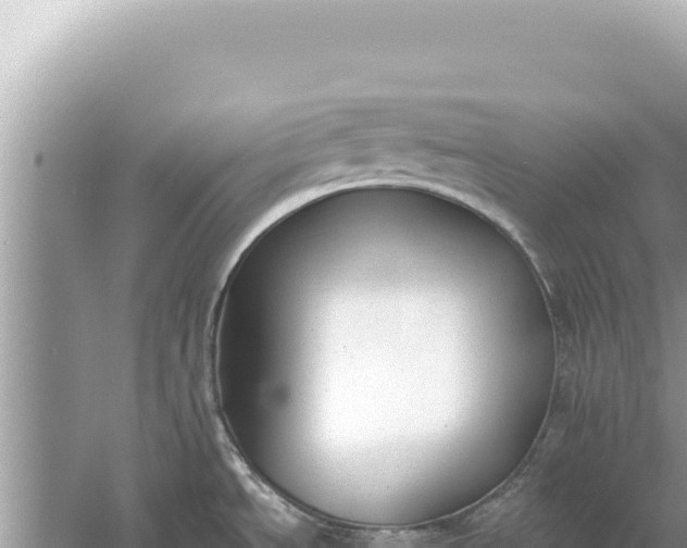 X0000059041534200510211921