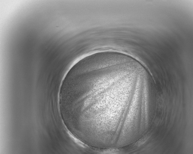 X0000059041535200510211921