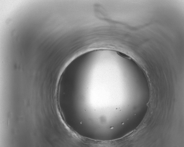 X0000059041536200510211921