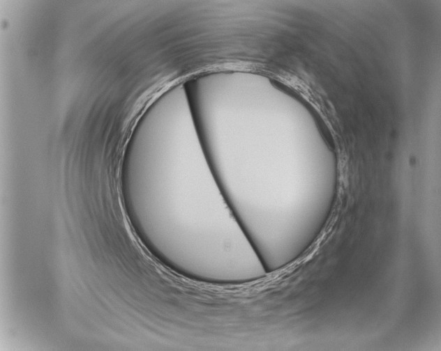 X0000059040001200510281554