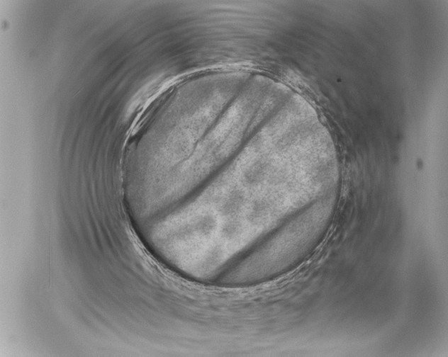 X0000059040002200510281554