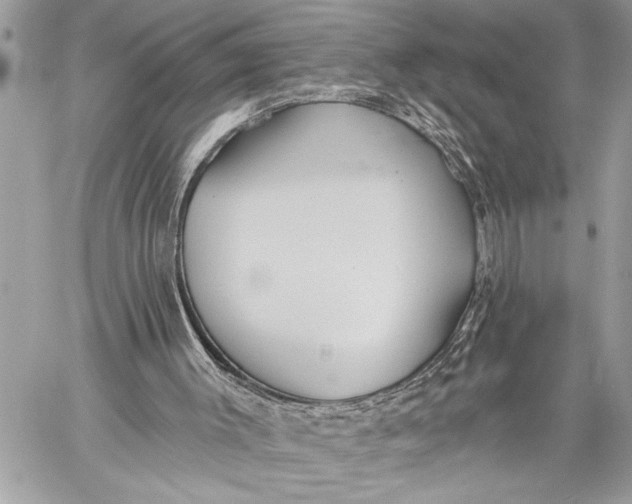 X0000059040003200510281554