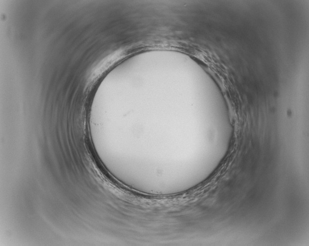 X0000059040005200510281554