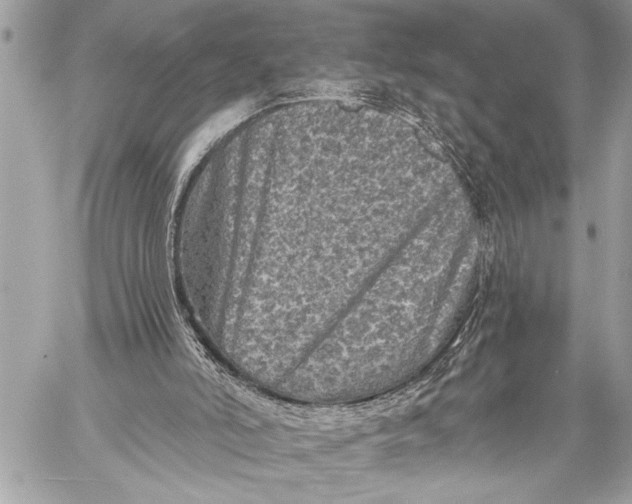 X0000059040006200510281554