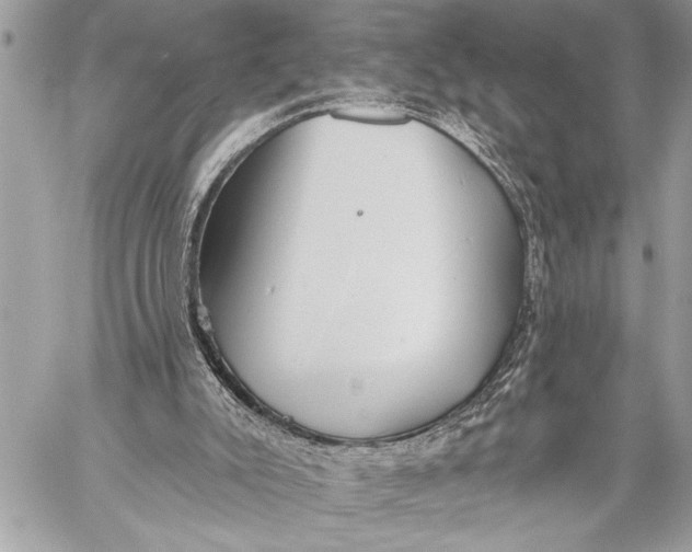 X0000059040007200510281554