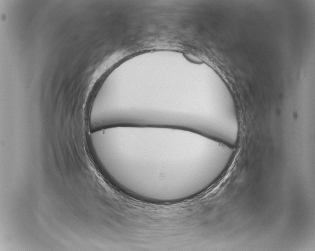 X0000059040008200510281554