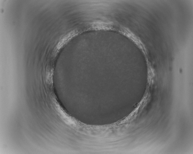 X0000059040009200510281554