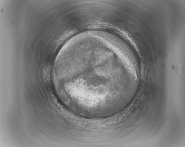 X0000059040010200510281554