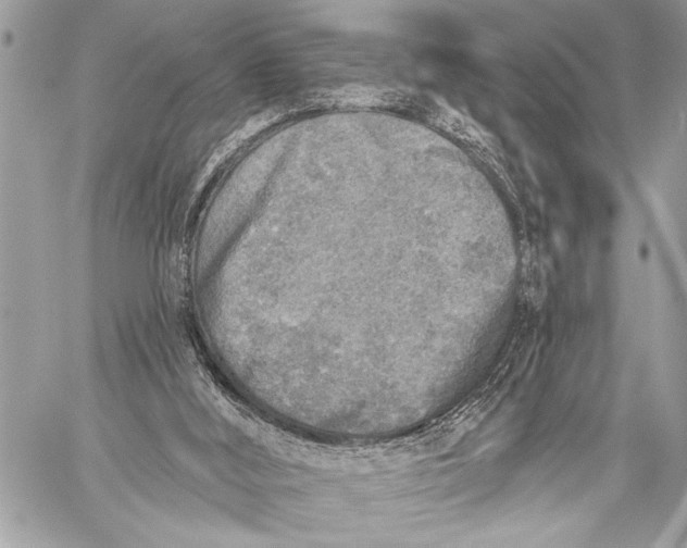 X0000059040012200510281554