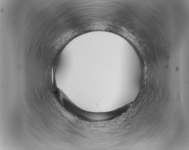 X0000059040013200510281554