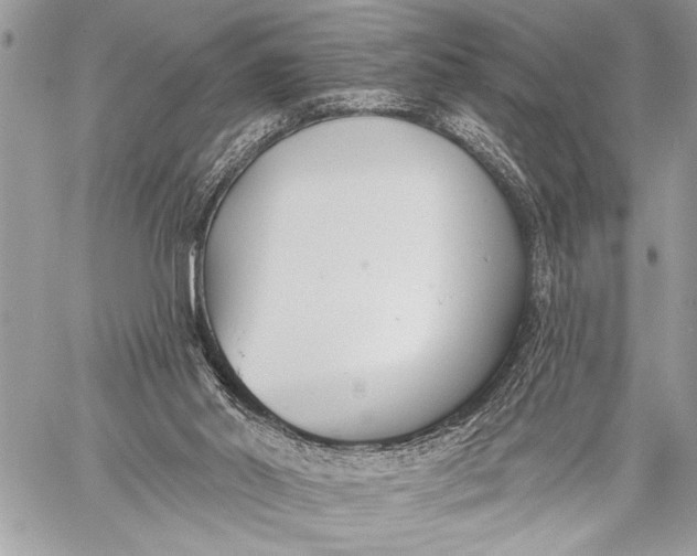 X0000059040014200510281553