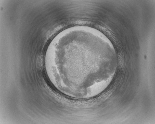 X0000059040016200510281553