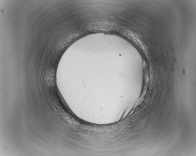 X0000059040017200510281553