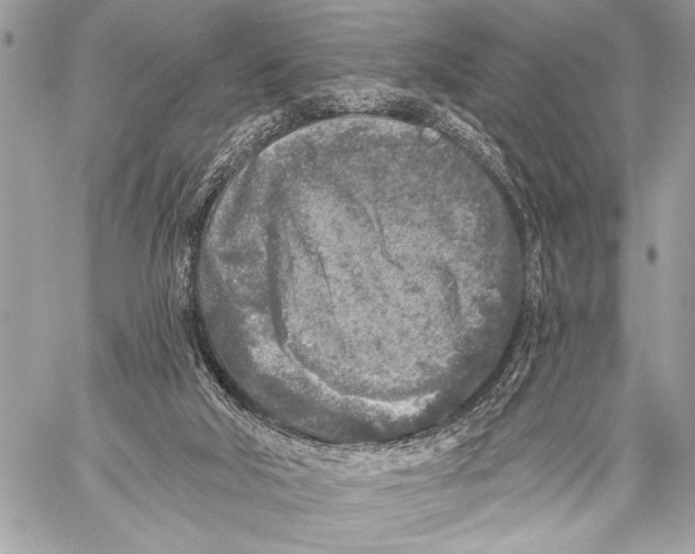 X0000059040018200510281553