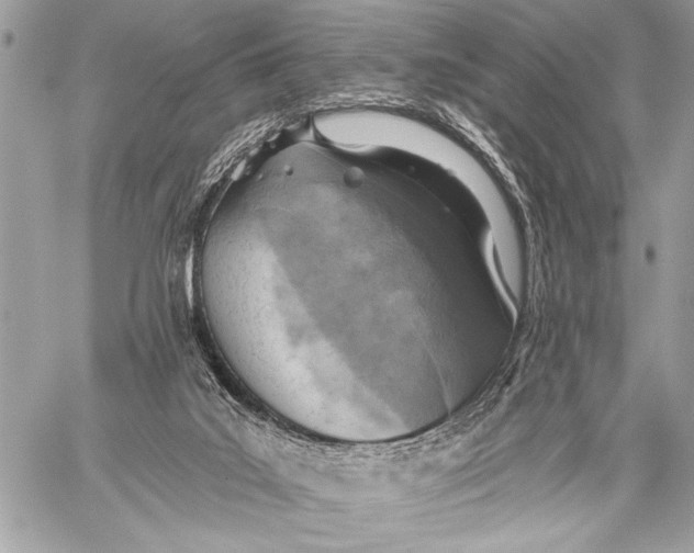 X0000059040019200510281553