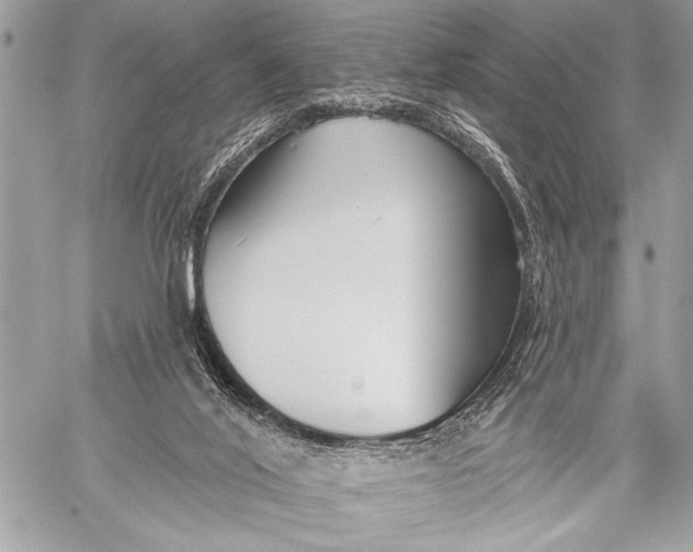 X0000059040020200510281553