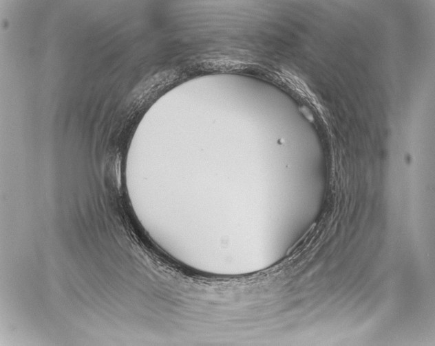 X0000059040021200510281553