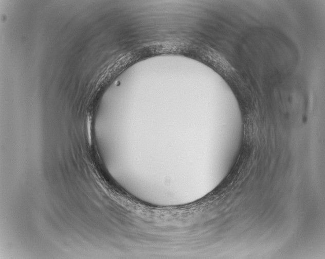 X0000059040022200510281553