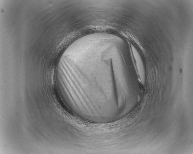 X0000059040023200510281553