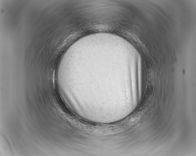 X0000059040024200510281553