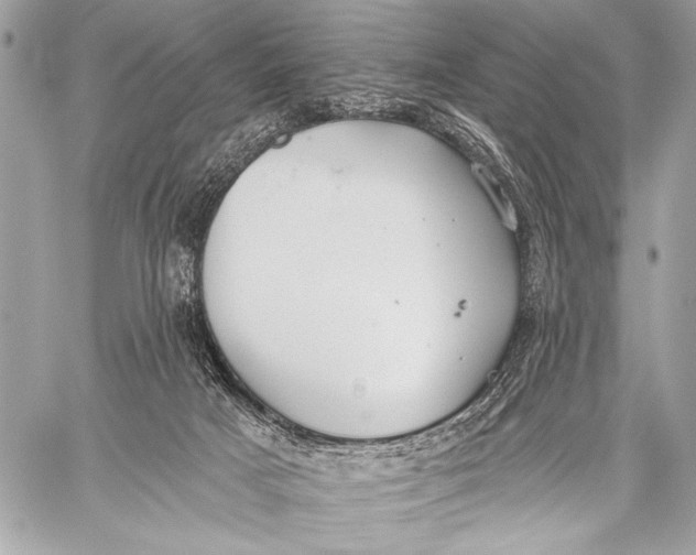 X0000059040025200510281553