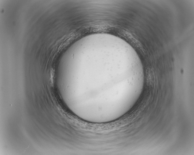 X0000059040026200510281553