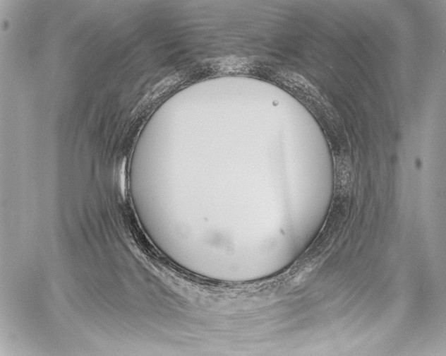 X0000059040028200510281553