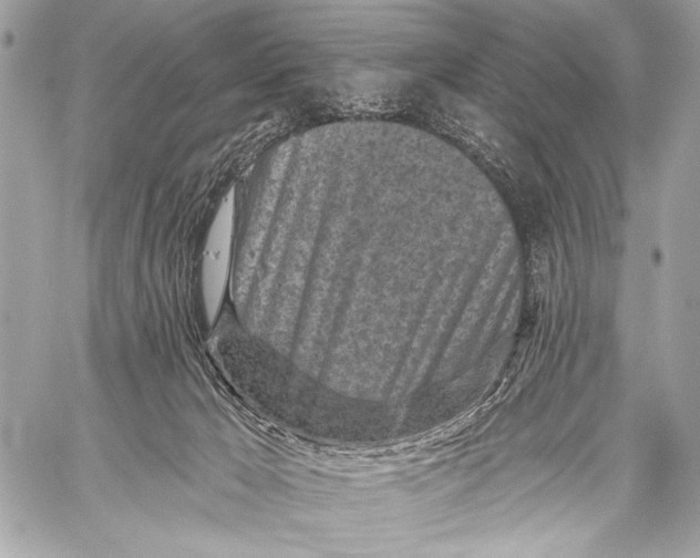 X0000059040029200510281553