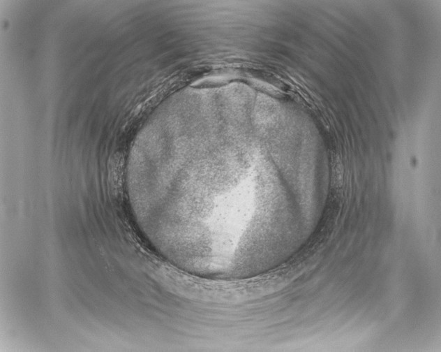 X0000059040030200510281553