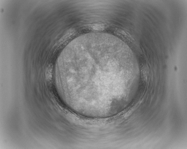 X0000059040032200510281553