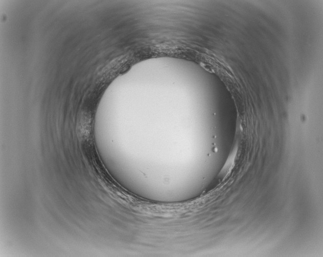 X0000059040033200510281553