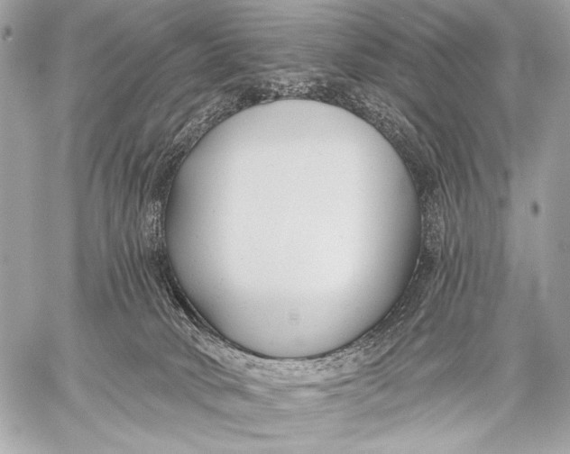 X0000059040034200510281553